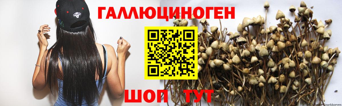 Шатура  Вход с VPN  Каннабис  Мефедрон кристаллы  Гашиш  MDMA  ГАШИШ  LSD-25  Марихуана  КОКАИН  ЭКСТАЗИ 